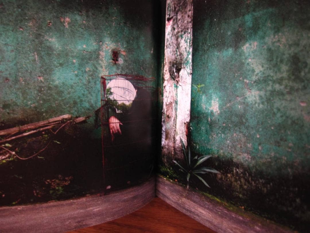 Saturno / Edu Monteiro　エドゥ・モンテイロ　私家版