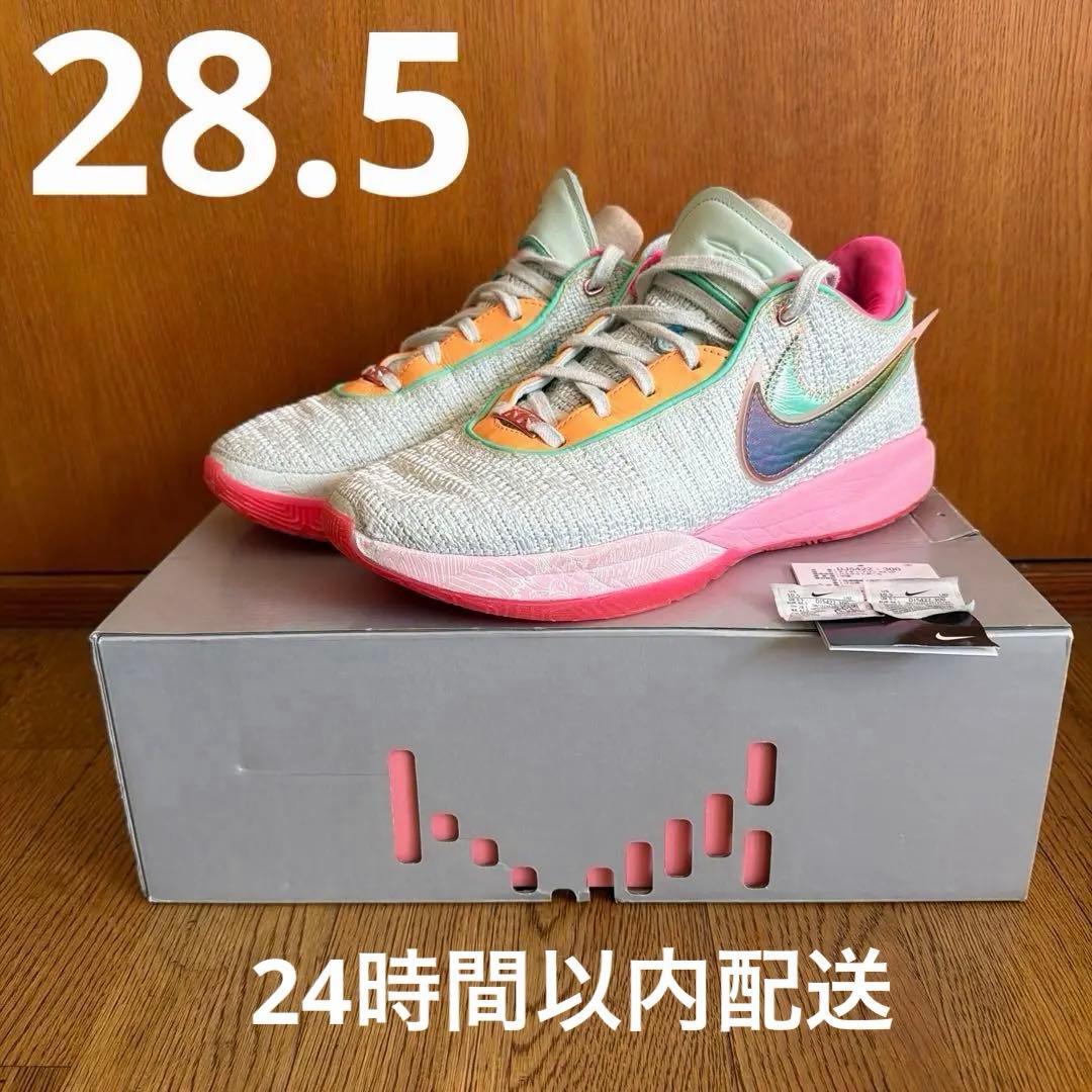 NIKE LEBRON XX EP レブロン20タイムマシーン28.5cm Nike Lebron 20 (XX) 'Time Machine' - Size 17 - (DJ5423-300) *In