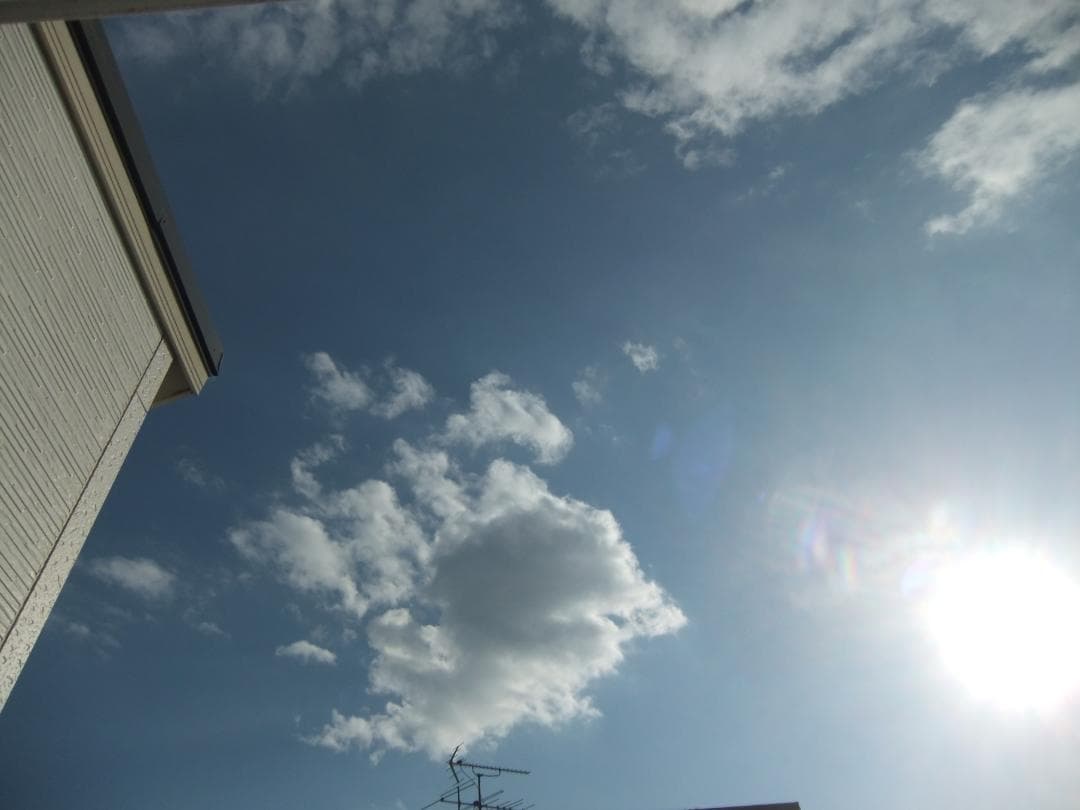 フジフィルム　FUJIFILM FINEPIX F70EXR ブラック《元箱付》