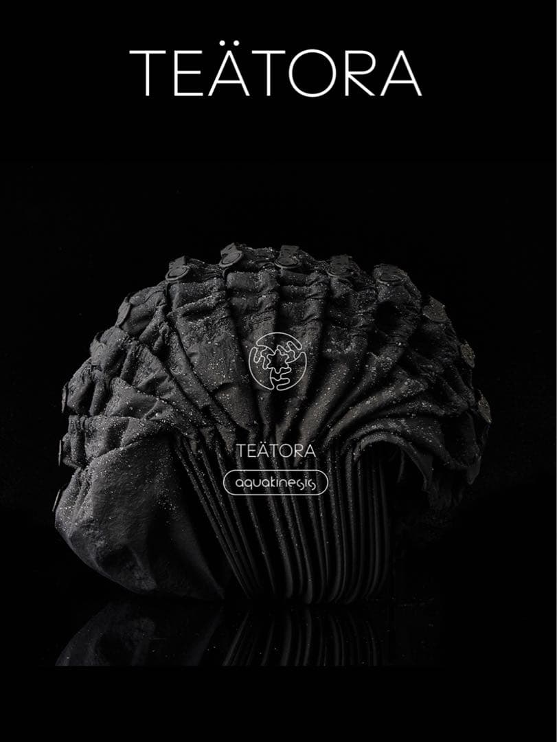 帽子 TEATORA CARTRIDGE CAP (limited) TEATORA - CARTRIDGE CAP PACKABLE - Silver and Gold