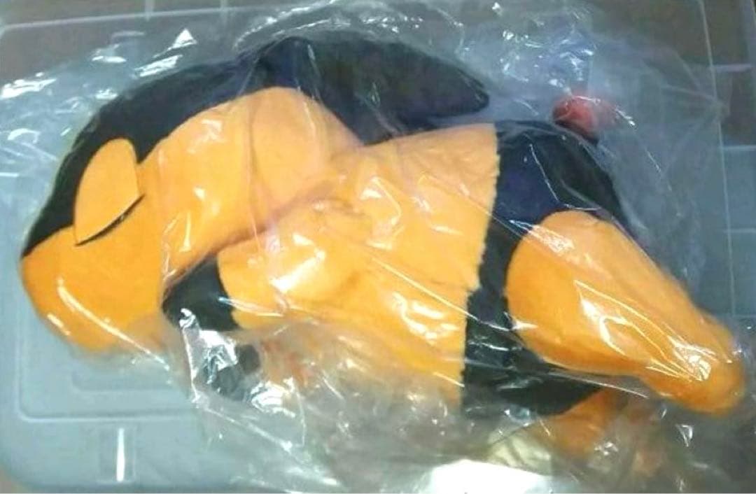 ポケモン　ぬいぐるみ　ポカブ　ポケモンレジェンズZA　202511151012 ポケモンレジェンズ Z-A』あなたはどのポケモンと冒険に出る？ 等身大