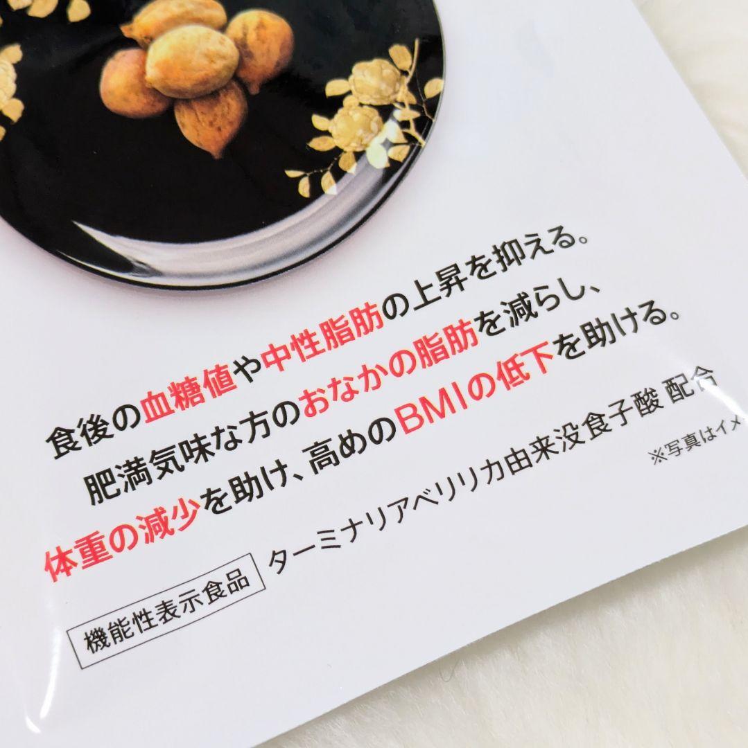 ビタブリッドジャパン ターミナリアファースト120粒（30回分）3袋