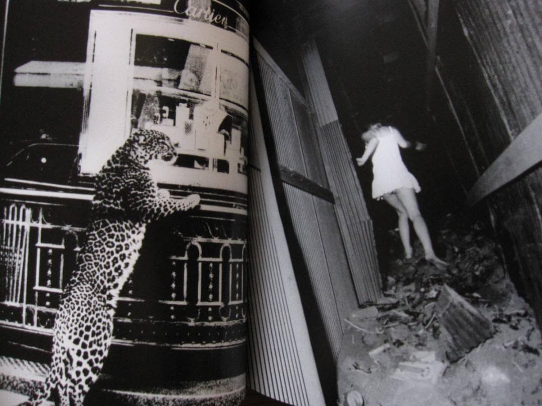 Daido Moriyama The World through My Eyes - メルカリ