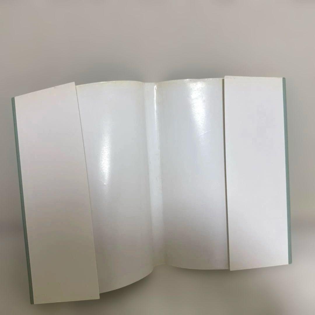 【希少本】中医正骨実技 孫維良著