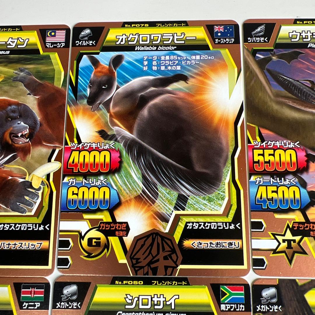 希少レア】グレートアニマルカイザー 銅レア フレンドカード 6枚セット