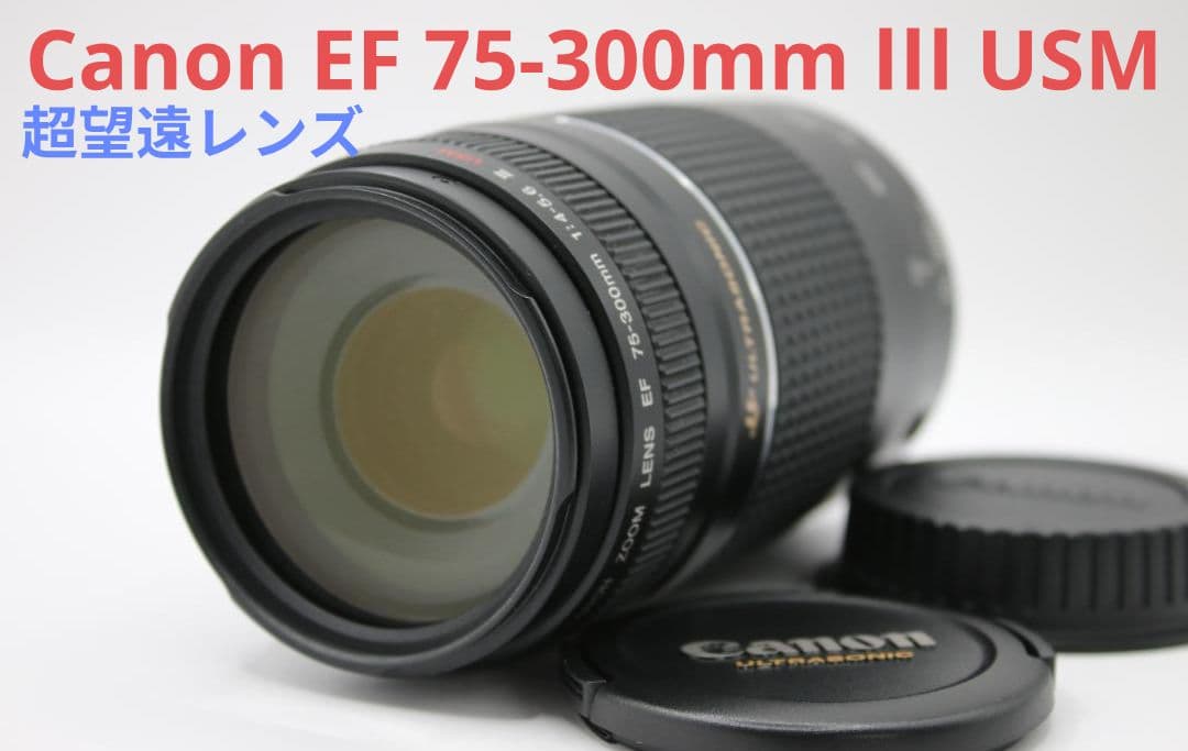 1月19日限定【超望遠レンズ】Canon EF 75-300mm Ⅲ USM Canon EF 75-300mm F/4-5.6 III Lens - Walmart.com