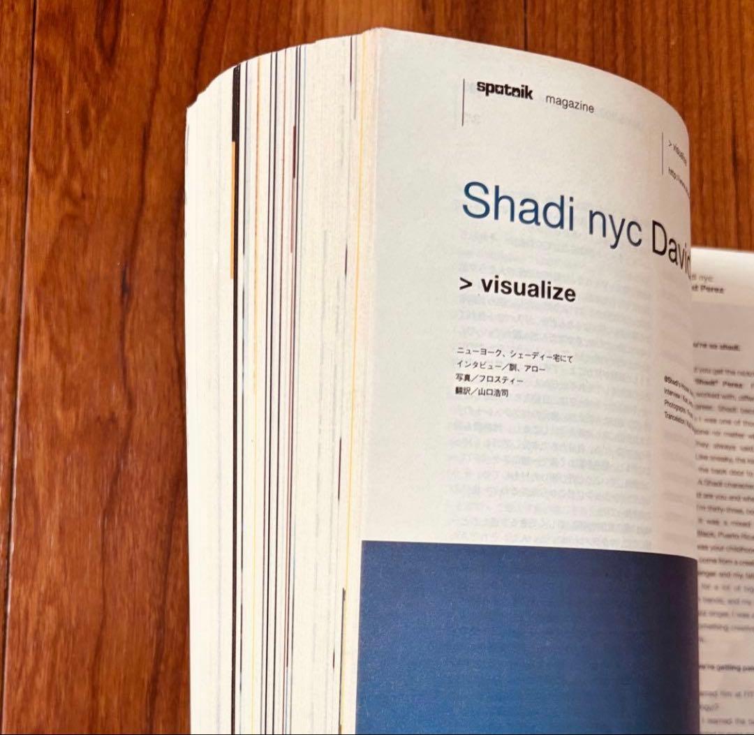 Sputnik Whole life catalogue 野村訓市 絶版本