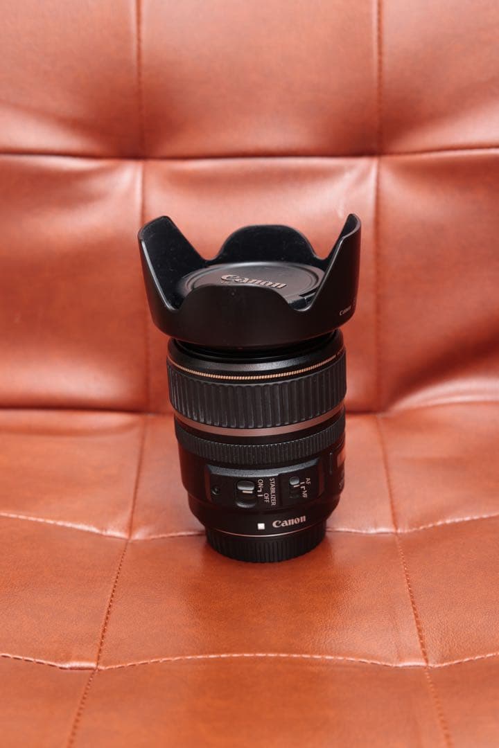 CANON EFS 17-85mm f/4-5.6 IS EW-73B付属