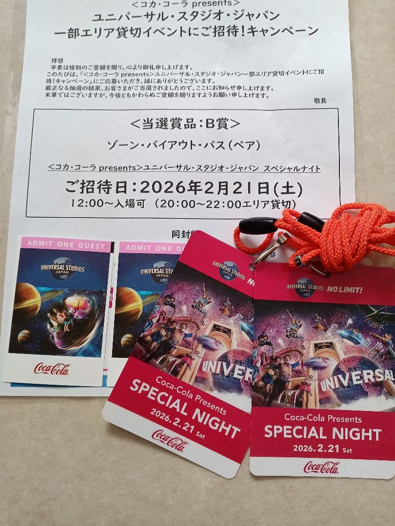 usj 2/21 貸切ナイト ペアチケット - メルカリ