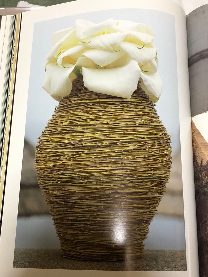 DANIEL OST ダニエル・オスト フラワーアート豪華写真集 美しい写真