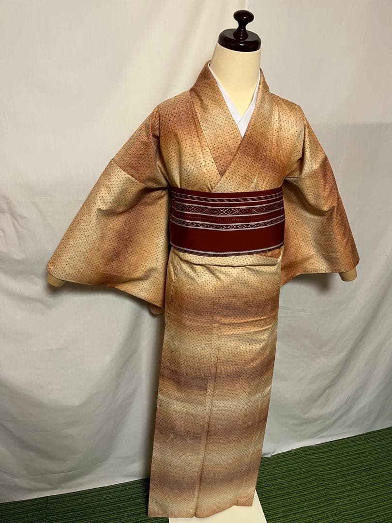 ☘️国宝品☘️【幻の紬】○岐阜県無形文化財【郡上紬】○草木染○本