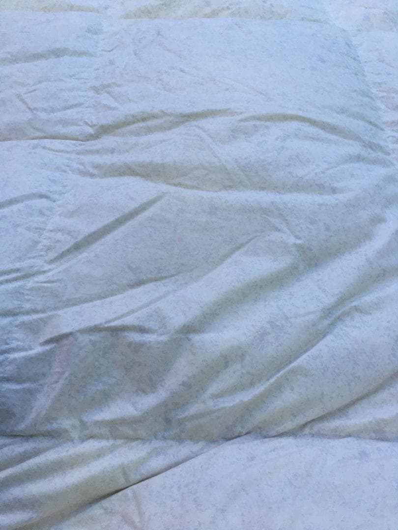 未使用 カーシーエンジョイ 羽毛掛ふとん EA-6665 1.3kg ハンガリー