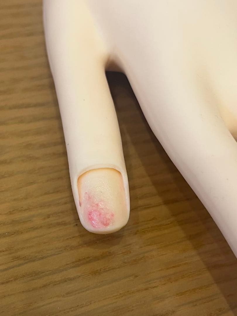 もふこさま】【骨折なし】ネイリスト技能検定試験 JNEC認定 モデルハンド