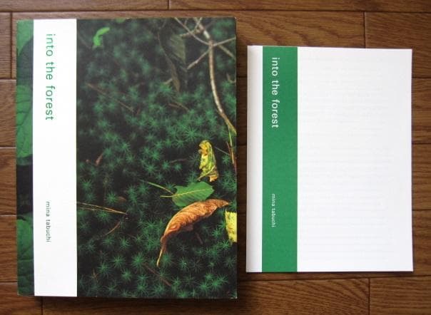 into the forest　田淵三菜　Mina Tabuchi　冊子付 mina tabuchi｜into the forest | WHITEGREEN GALLERY