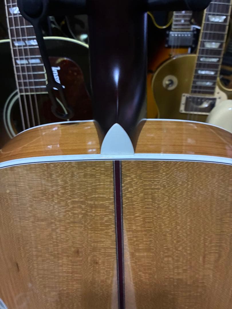 ヘッドウェイ　HF -SAKURA’24S/STD