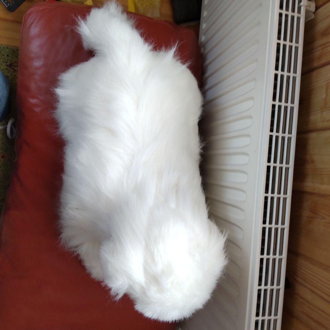 kei 様 三英 グレートピレニーズ レトロ 日本製アクリル70センチ