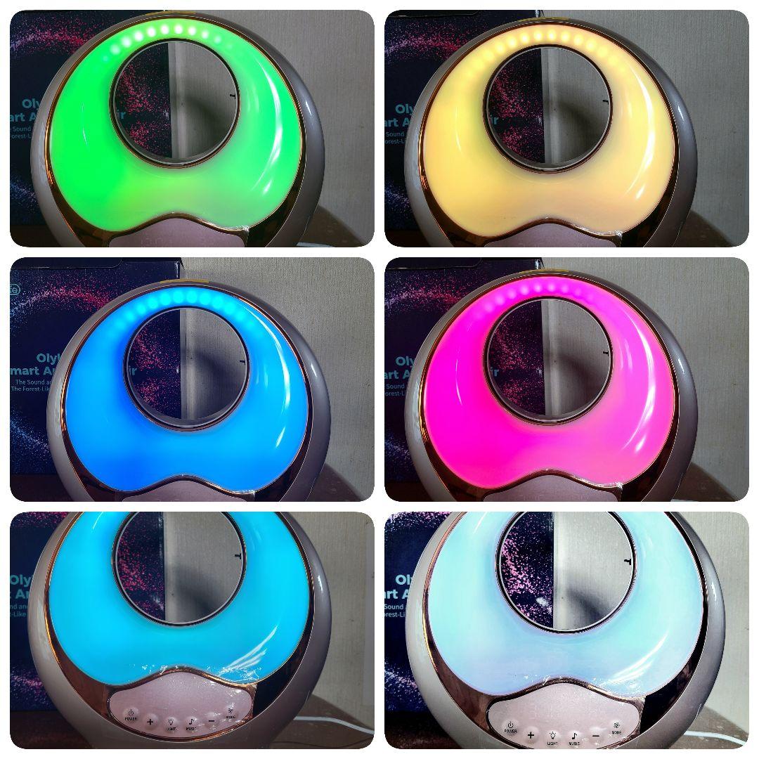 《未使用》OlyLife A9 BamaAir オリーライフ／イオン発生器