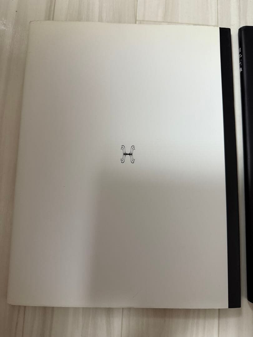 雅　miyavi MIYAVI 羽化　本　写真集　２冊セット　希少