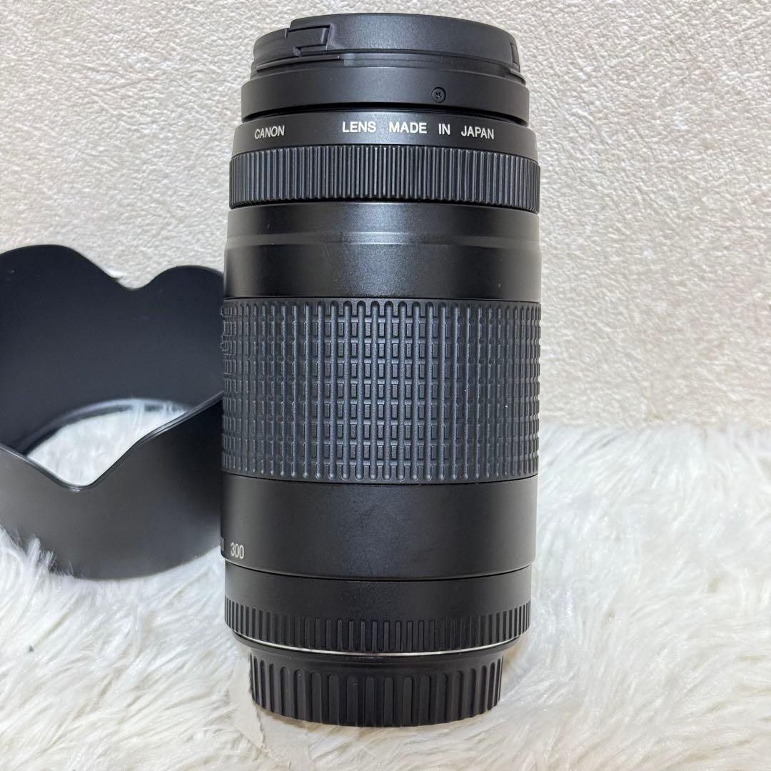 ⭐️完動品⭐️キャノン Canon EF 75-300mm F/4-5.6 II