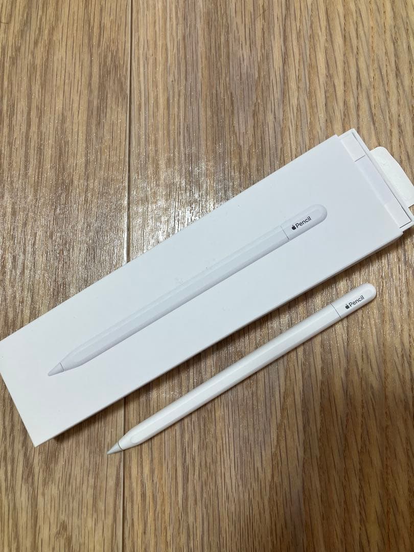 Apple Pencil (USB-C) 本体 Apple Pencil (USB-C) | Open Box - Walmart.ca
