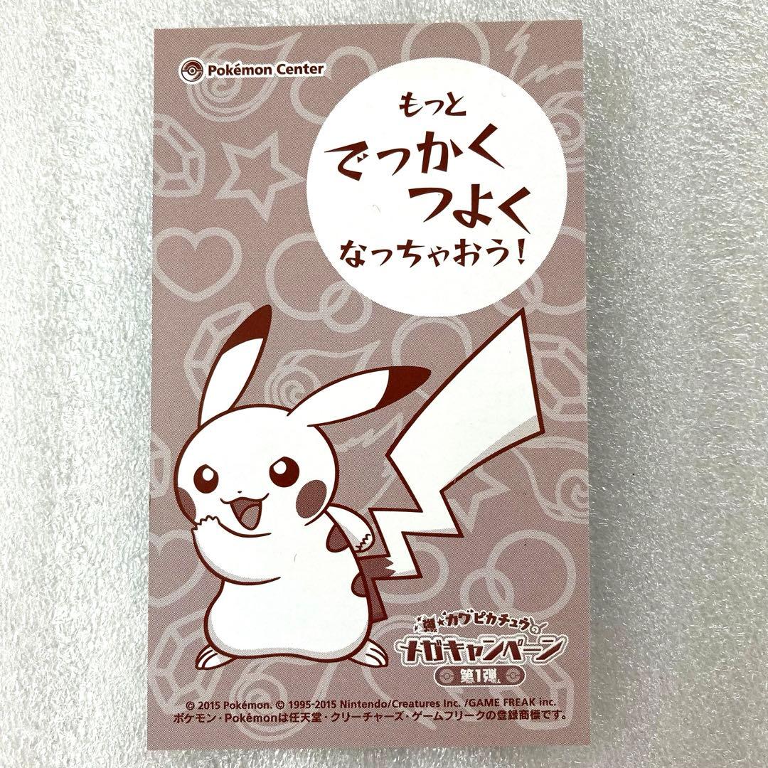ポケモンセンター ポンチョを着たピカチュウ 名刺カード メガ