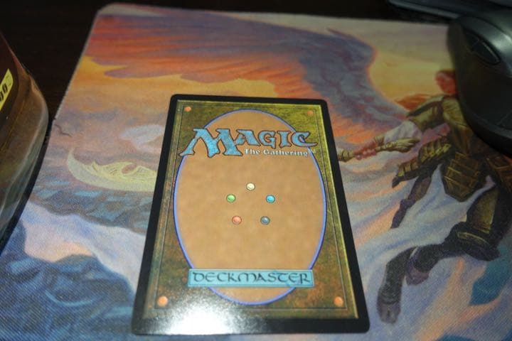 MTG 完成化した賢者、タミヨウ ショーケースfoil セットブースター寺田