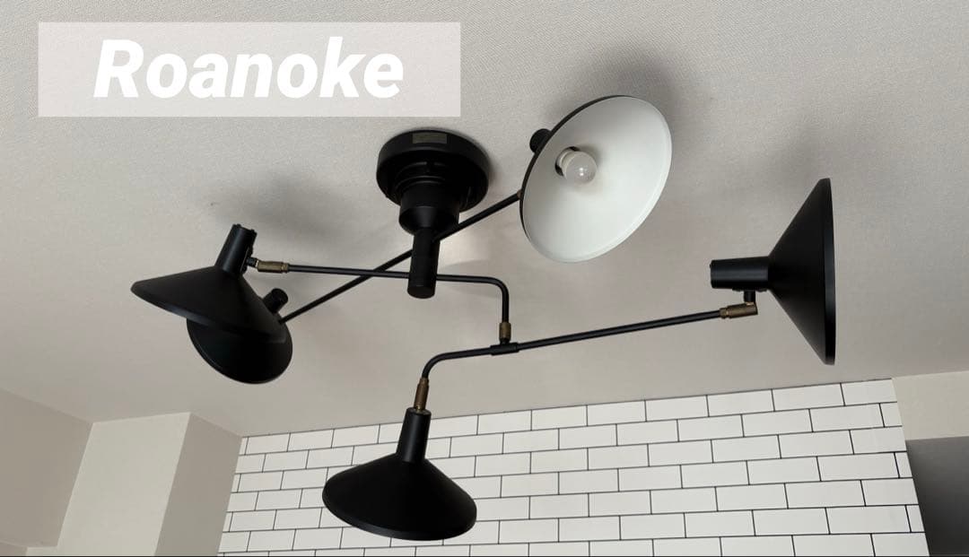 roanokeロアノーク　5灯ブラックシーリングライト　スポットライト roanokeロアノーク 5灯ブラックシーリングライト スポットライト