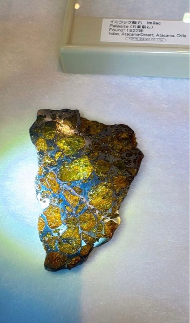 【存在感が段違い】28.0g イミラックパラサイト隕石標本（東京サイエンス購入）