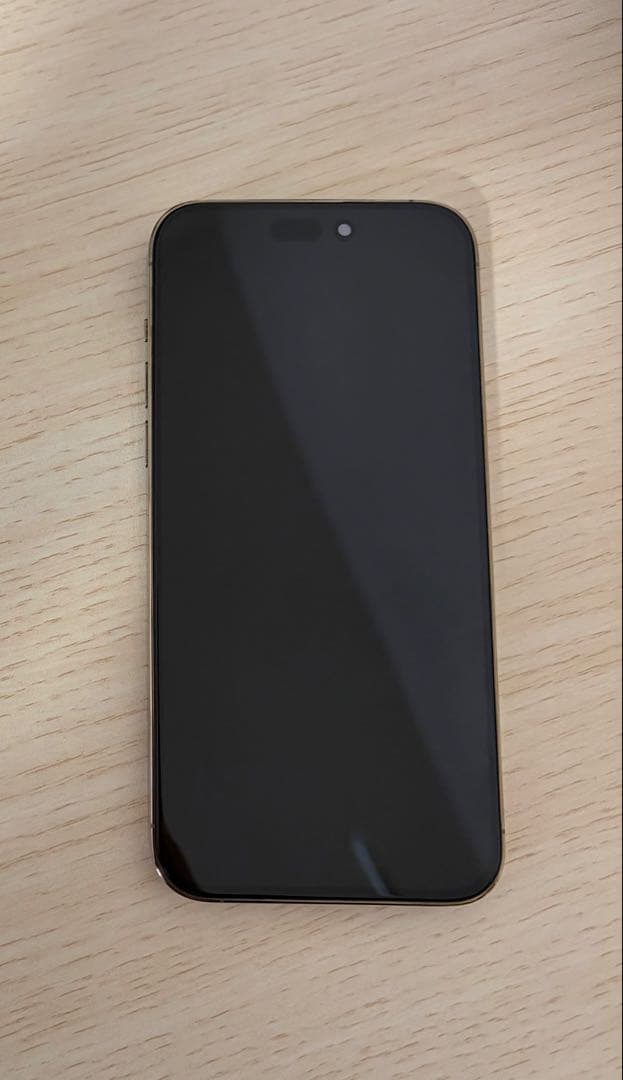 256GB】iPhone 14 Pro Max ゴールド ジャンク - メルカリ