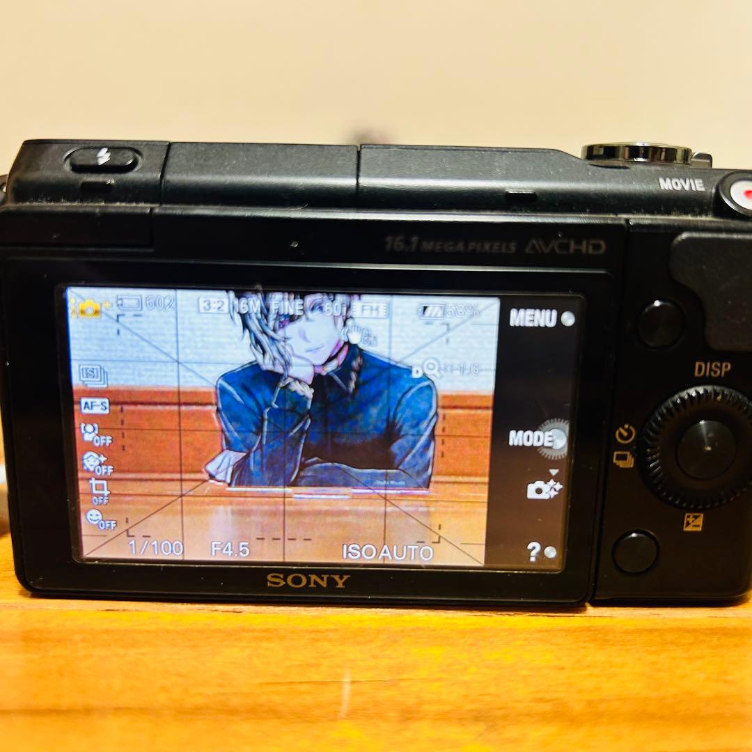 SONY ソニー　E 55-210mm F4.5-6.3 OSS レンズ