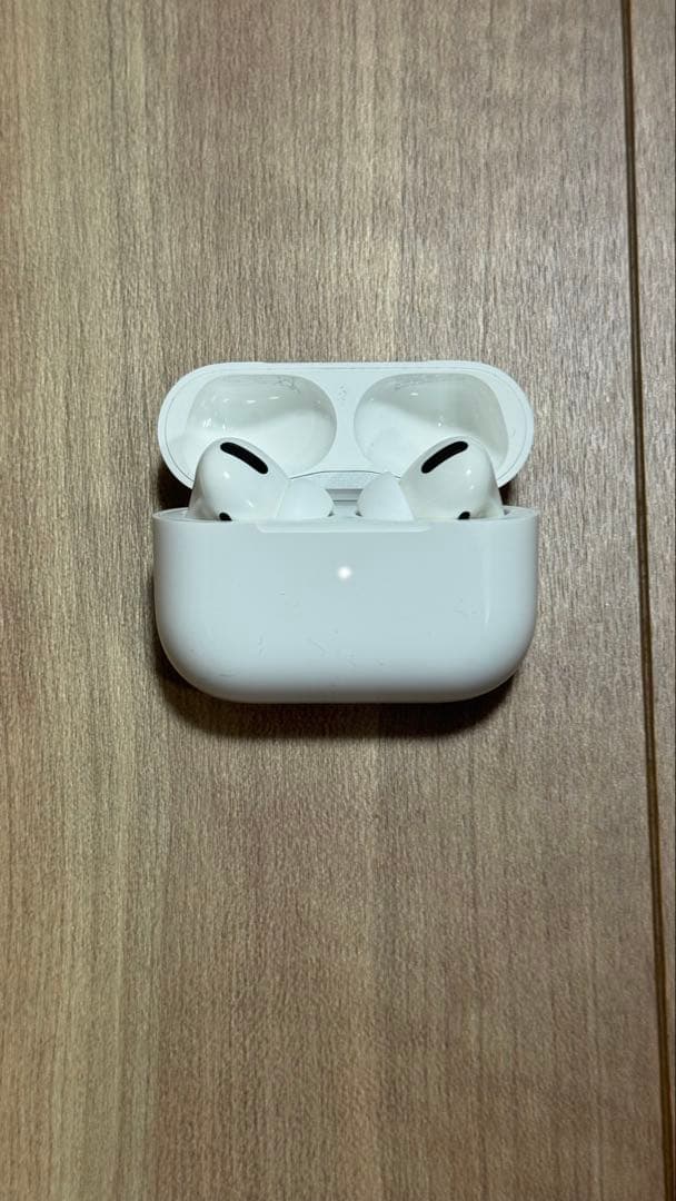 Apple AirPods Pro 第1世代 (ジャンク品) Apple