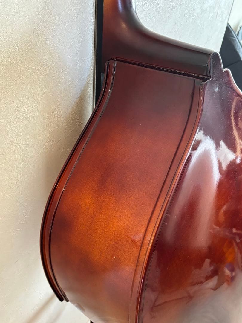 カルロジョルダーノ SB-150 ソフトケース付き （直接取引限定） - メルカリ