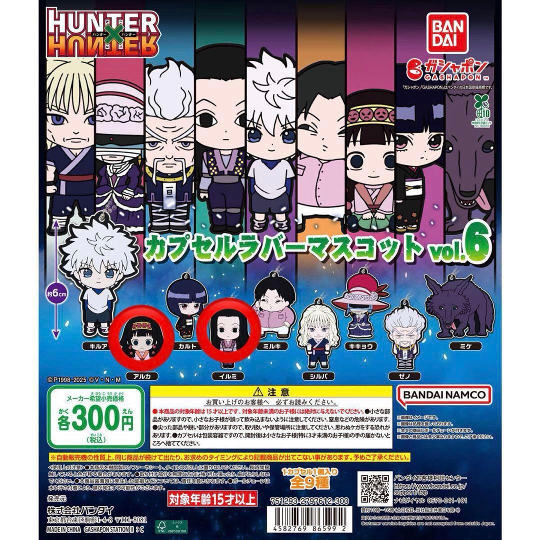 HUNTER×HUNTER ガチャガチャ ゾルディック家 イルミ アルカ - メルカリ