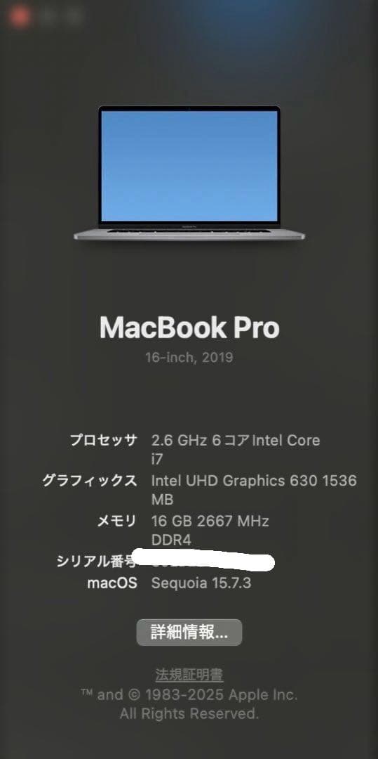 充放電63回】極美品MacBook Pro 16インチ2019 - メルカリ