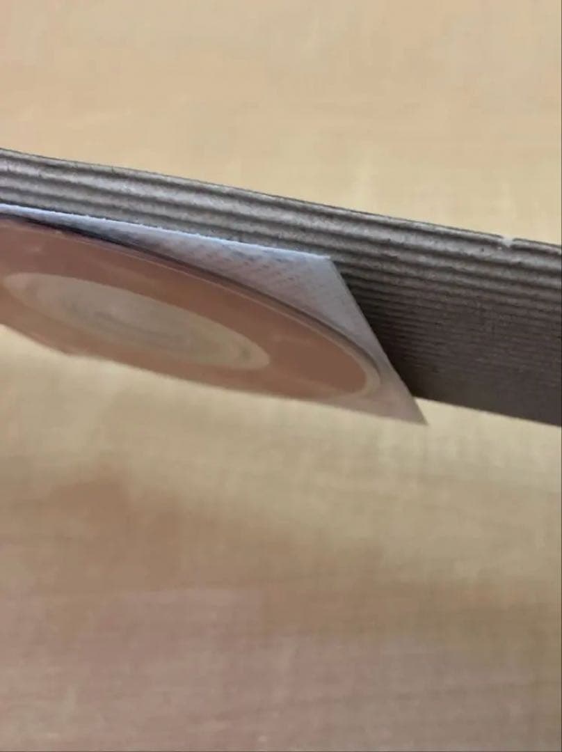 松田聖子 神田沙也加 熟カレーの唄 DVD 完全未開封新品 超レア非売品