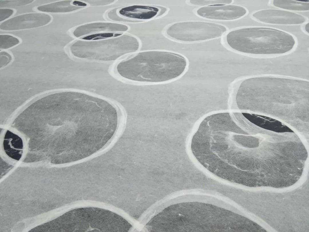 越前手漉き和紙「藍珠白地」二枚 越前手漉き和紙 白円藍地