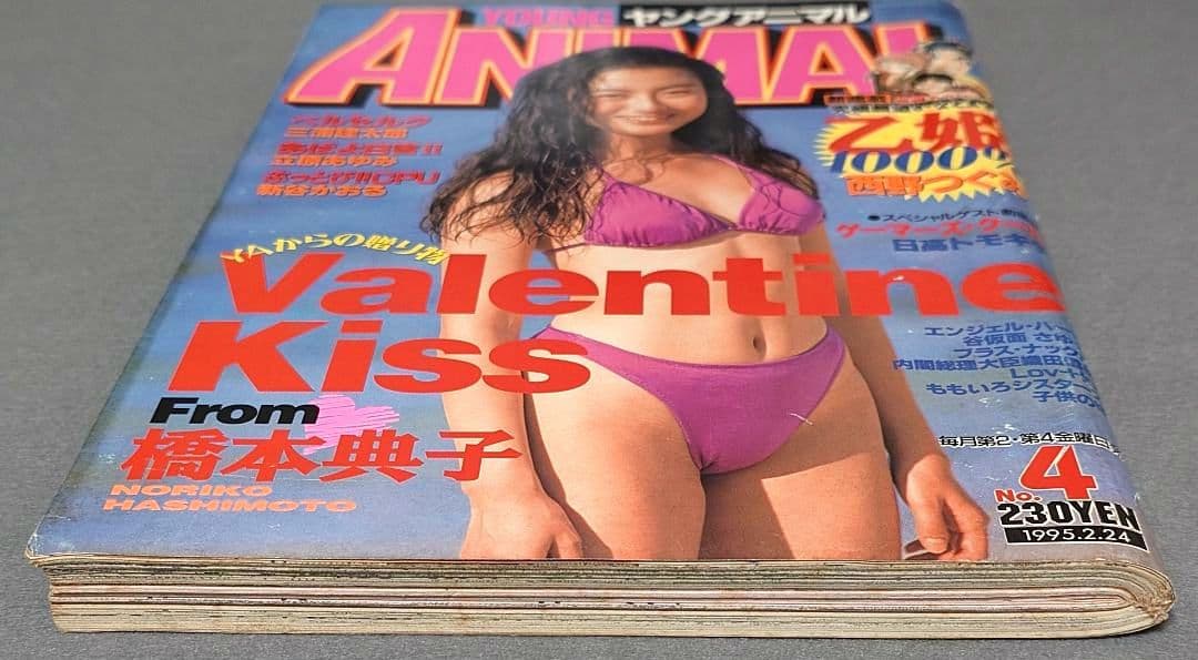 ヤングアニマル1995年4号/ベルセルク第52話/橋本典子表紙&水着グラビア