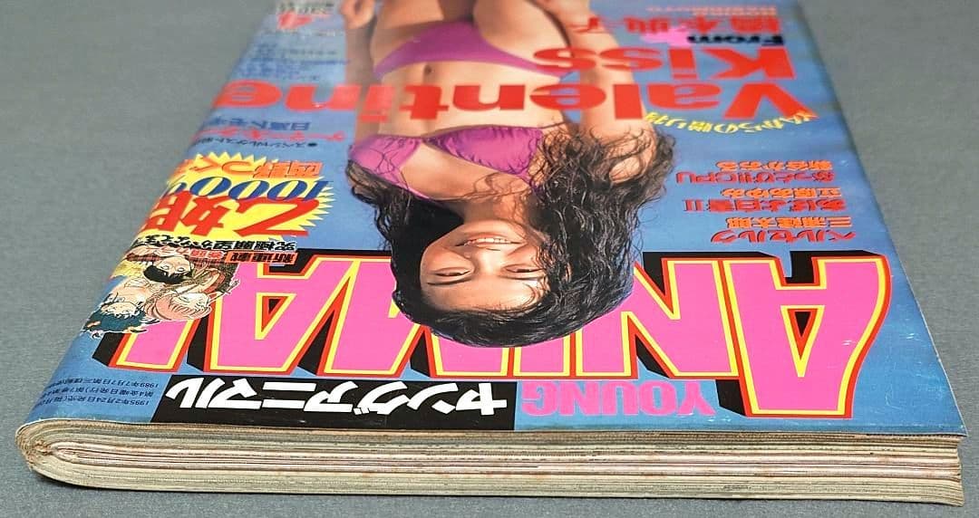 ヤングアニマル1995年4号/ベルセルク第52話/橋本典子表紙&水着グラビア