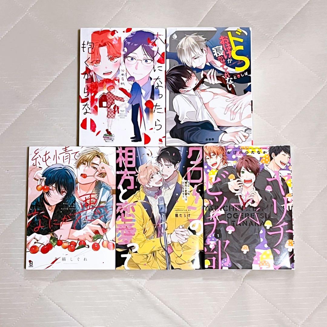 BL漫画26冊 まとめ売り 商業BL（値下げ可） - メルカリ