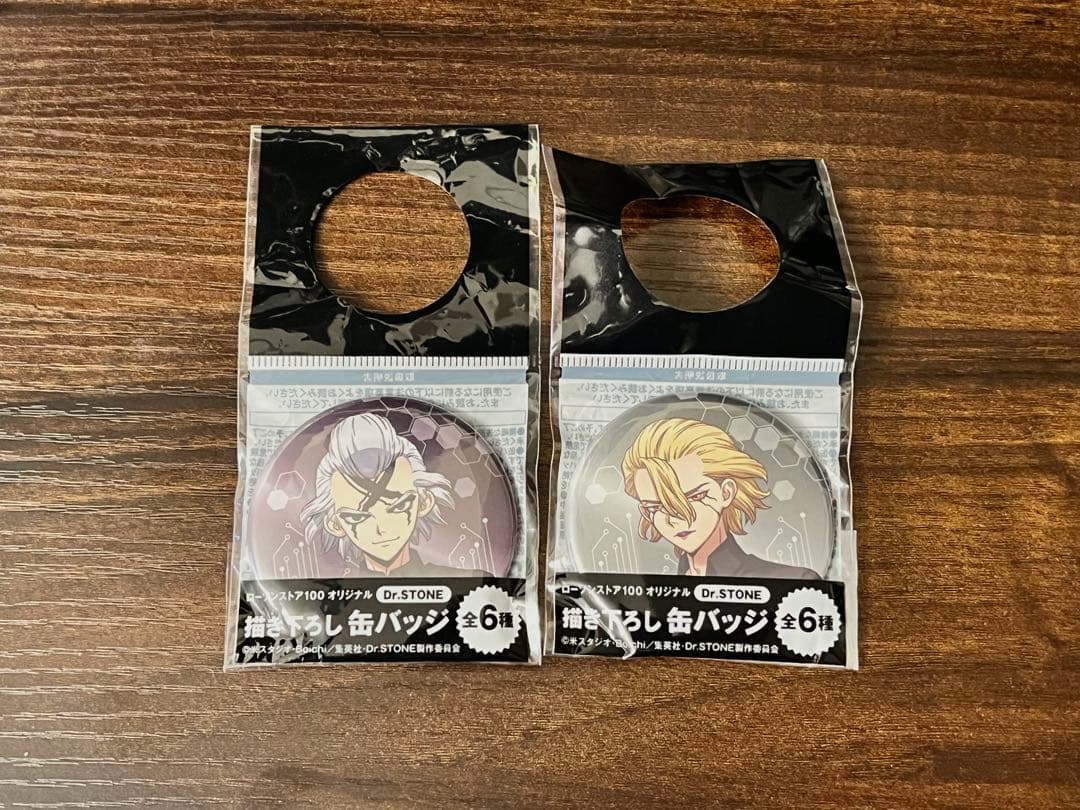 Dr.STONE ゼノ スタンリー 缶バッジ 2個セット ローソンストア100
