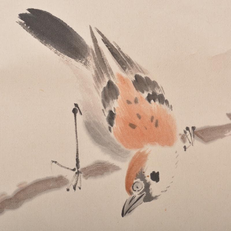 掛軸 水田竹圃作 梅木に鳥図 桐箱付 C 6318A - メルカリ