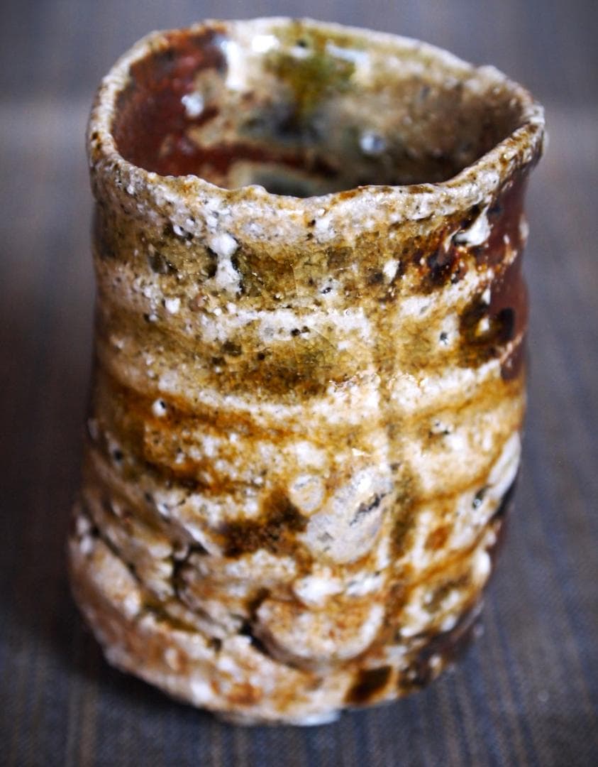 新作★迫能弘【師：辻清明】★赤信楽《窯変》酒器★ビードロ