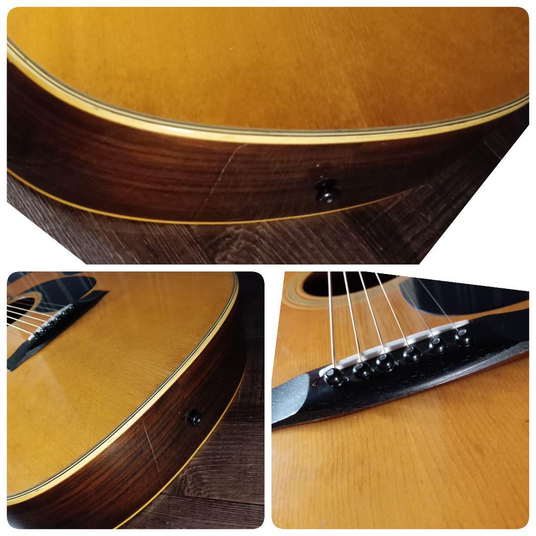 常田大希使用モデル morrisアコギ F-20 ギター KingGnu - メルカリ