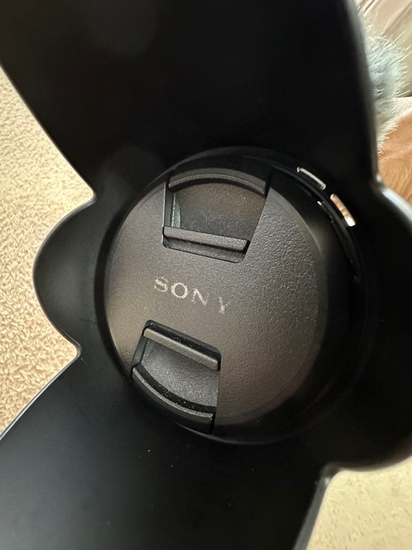 【動作品】SONY NEX-VG20 + E18-200mm F3.5-6.3