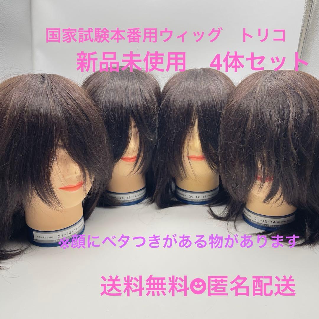カットウィッグ　カットマネキン　美容師　理容師　国家試験　トリダストリーズ カットウィッグ カットマネキン 美容師 理容師 国家試験 トリダスト