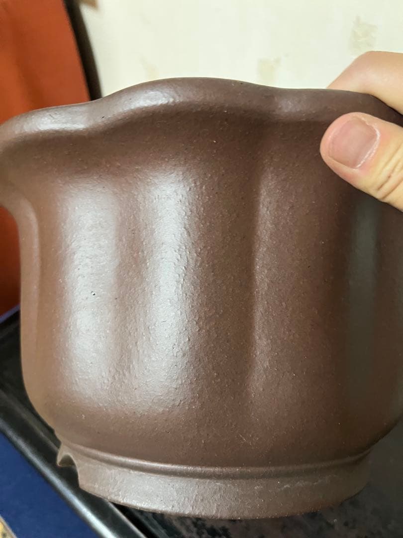 481 盆栽 盆栽鉢 植木鉢 和鉢 山秋