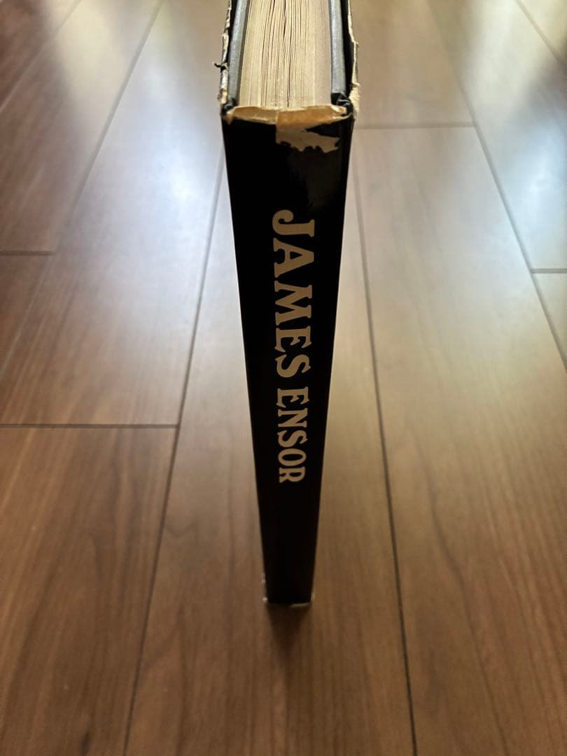 James Ensor by Paul Haesaerts アンソール画集 - メルカリ