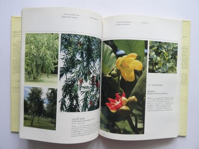 【専用】洋書2冊◆ラーマ9世公園写真集 / パッターニー 画集 作品写真集