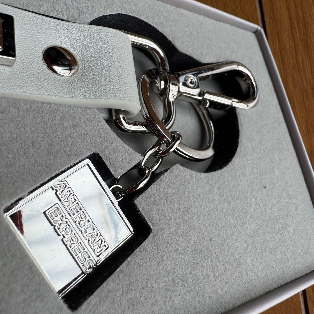 アメックス Amex プラチナ キーホルダー ノベルティ 非売品 - メルカリ