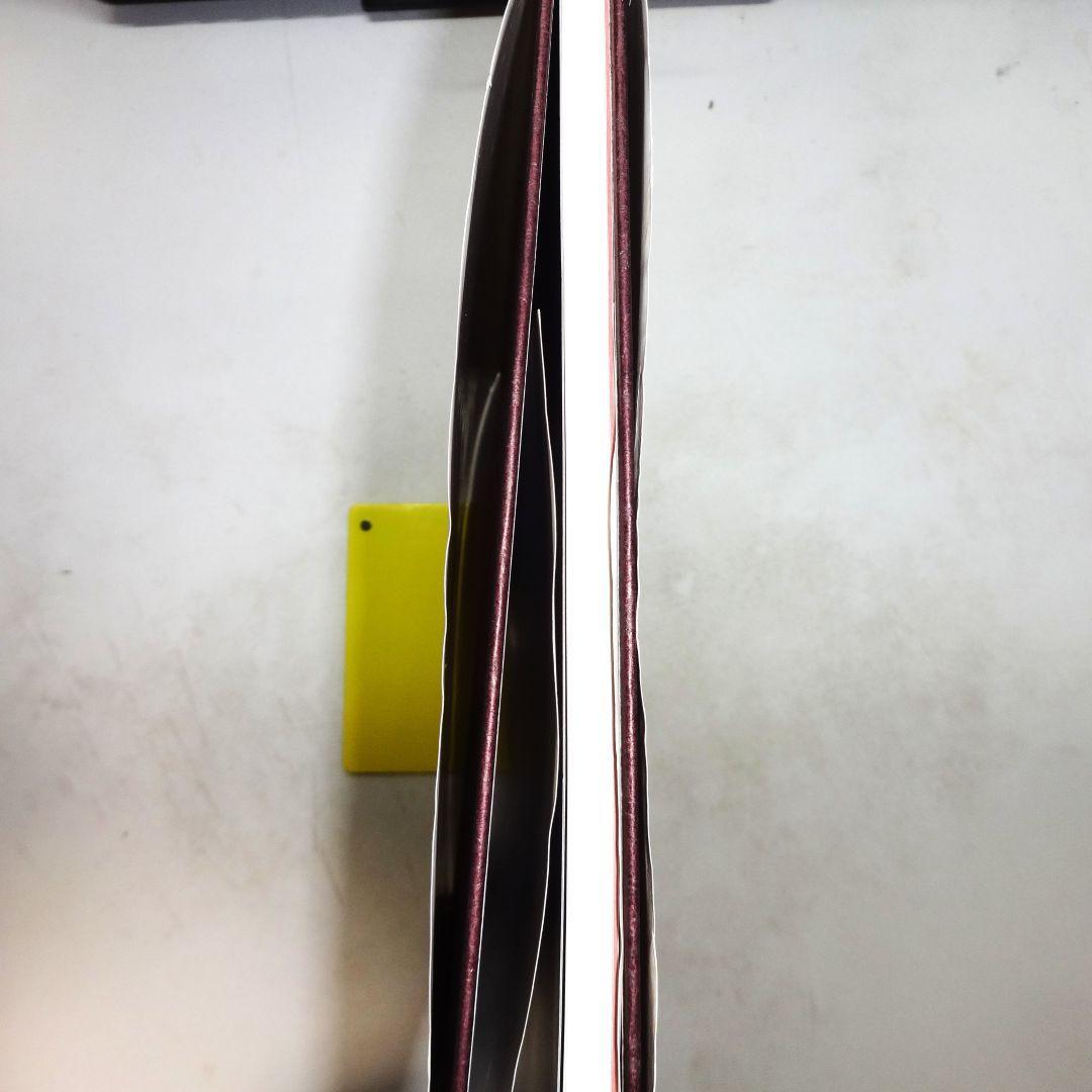 原芳市　写真集　「淑女録」